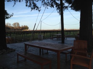 Dusk at Bogle Vineyards