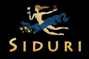 Siduri-logo-color-300x199
