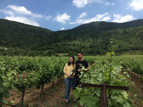 D and E in the vineyard